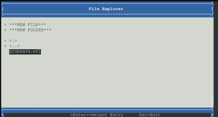 efi file auswählen.png